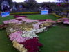 India map with roses at Rose show , Rose garden, Ooty