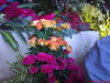 112 th Flower show,Botanical garden,Ooty