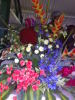 Flower show, Botanical garden,Ooty