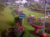 7 th Rose show at Rose garden,Ooty